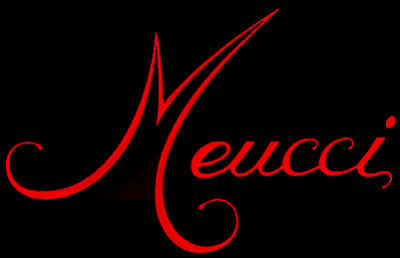 MEUCCILOGO3.bmp (309654 bytes)